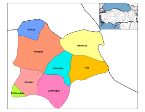 Kırklareli Web Tasarım