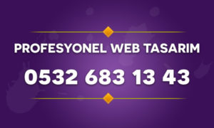 Profesyonel Web Tasarım