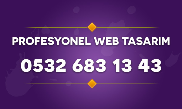 Profesyonel Web Tasarım