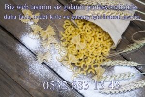 yemek, gıda, restoran için web tasarım