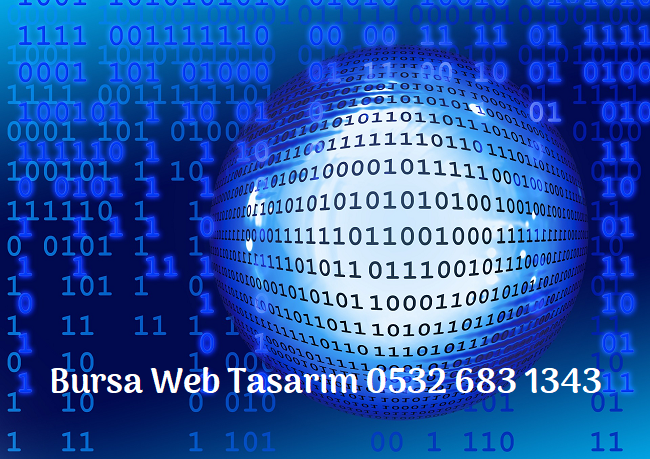 Bursa Merkez Web Tasarım