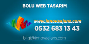 Mengen Web Tasarım