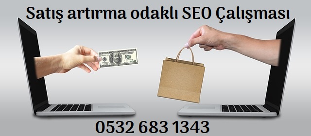 SEO Nedir?