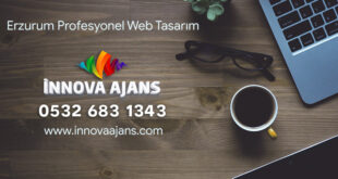 Erzurum web tasarım