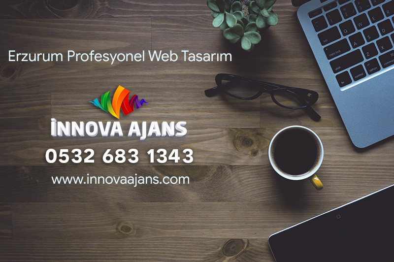 Erzurum web tasarım