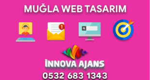 Muğla web tasarım
