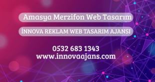 Merzifon Web Tasarım