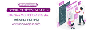 internet sitesi tasarımı