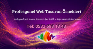 Web tasarım örnekleri